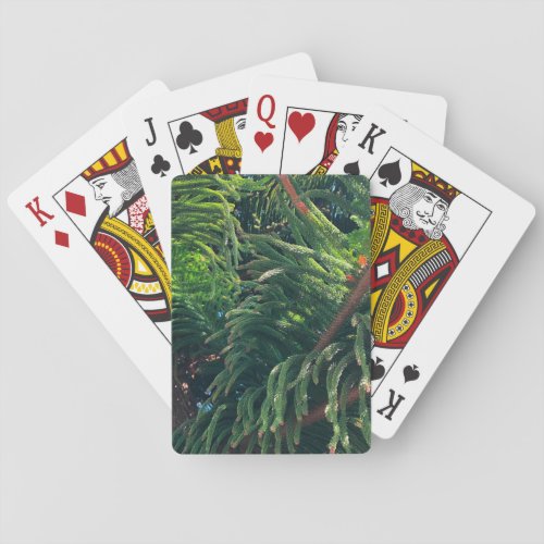 Evergreen pine_tree conifer  poker cards