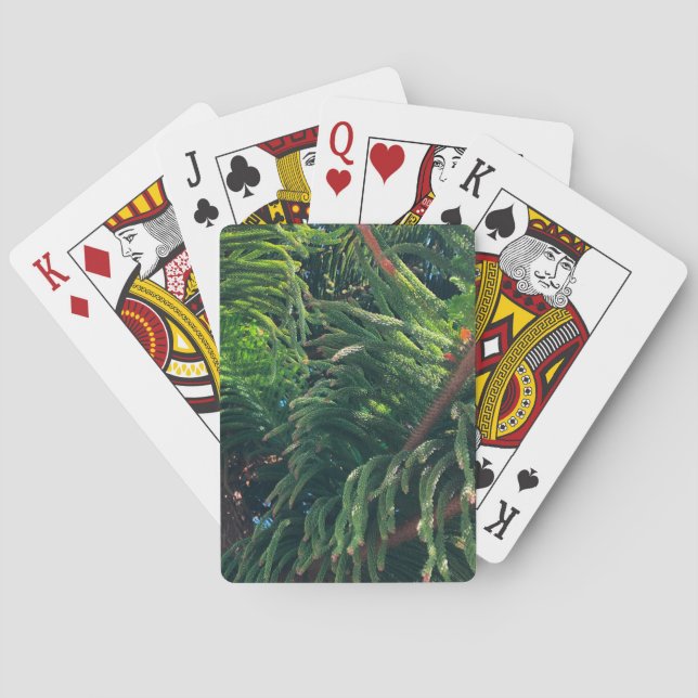 Evergreen pine-tree conifer  poker cards (Back)