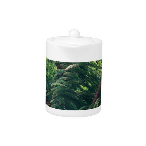 Evergreen pine_tree conifer  teapot