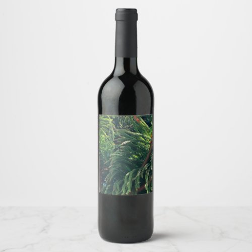 Evergreen pine_tree conifer  wine label