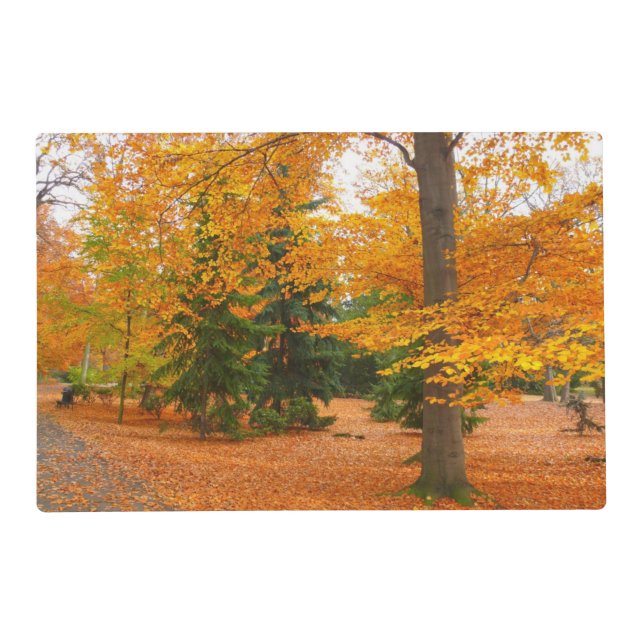 Evergreen Pines and Autumn Trees Placemat (Front)