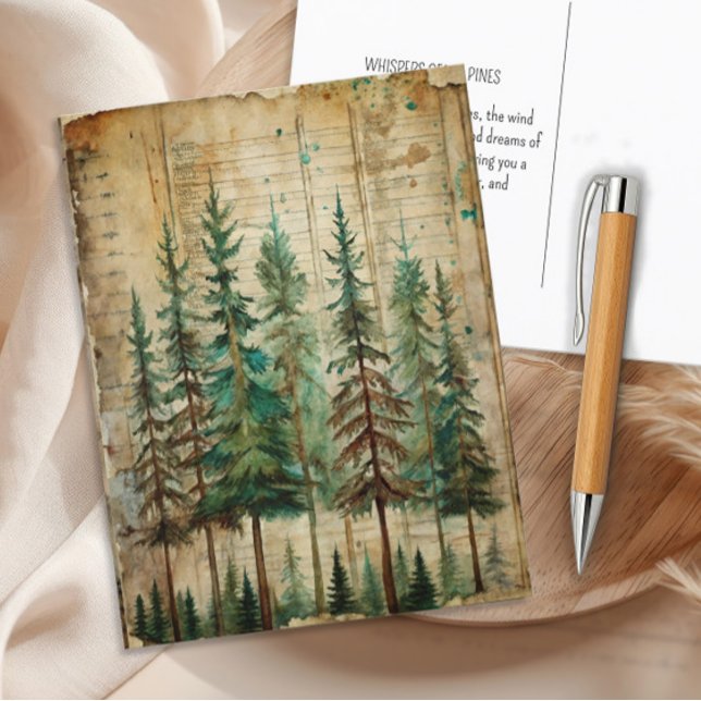 Evergreen Pines Vintage Nature Forest Landscape Postcard (Vintage pine forest postcard)