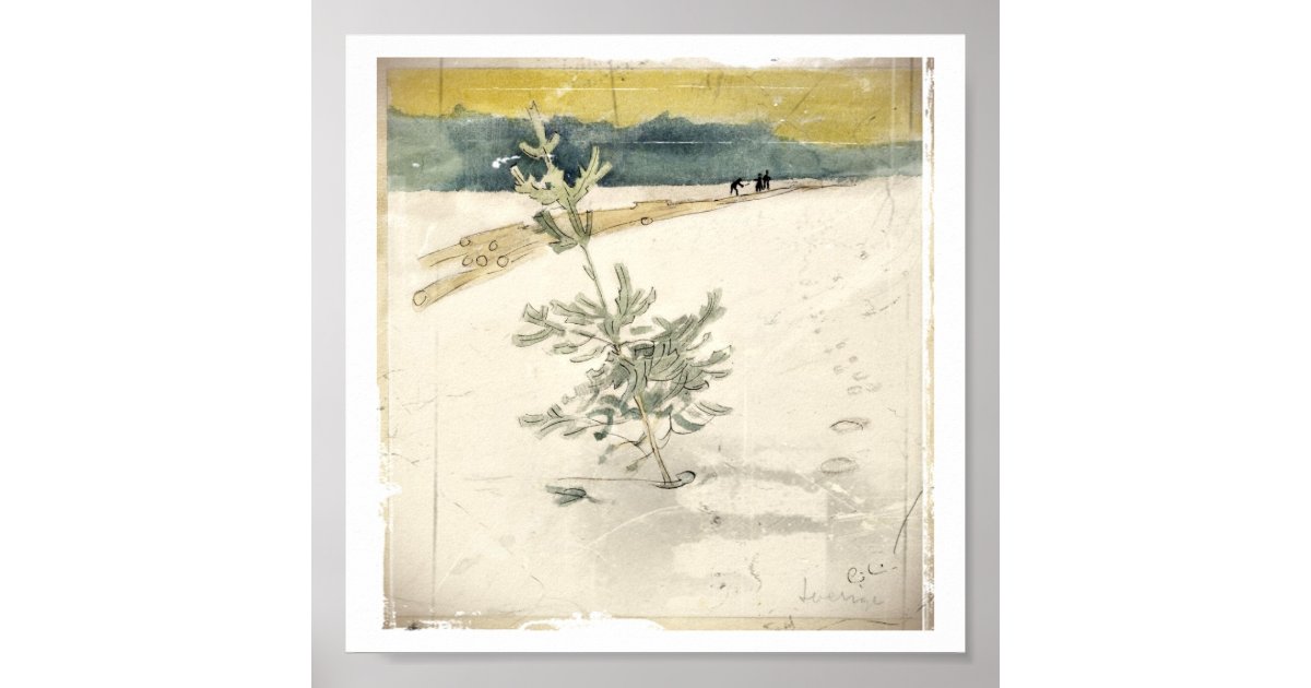 Evergreen Poster Zazzle