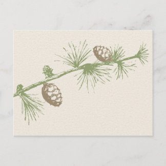 Evergreen RSVP Postcard