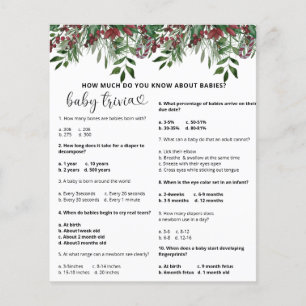Evergreen Snow Baby Trivia   Baby Shower Game