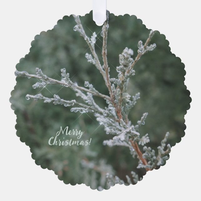 Evergreen Sparkling Frost Merry Christmas  Ornament Card (Front)