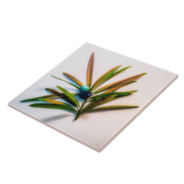 Evergreen Sprig with Berries Tile (Side)