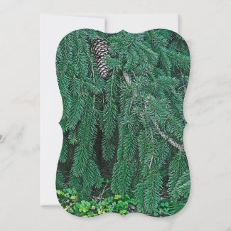 Evergreen Tree With. Pine Cone