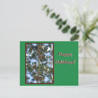 "EVERGREEN TREE WITH SNOW AND PINE CONES HOLIDAY POSTCARD
