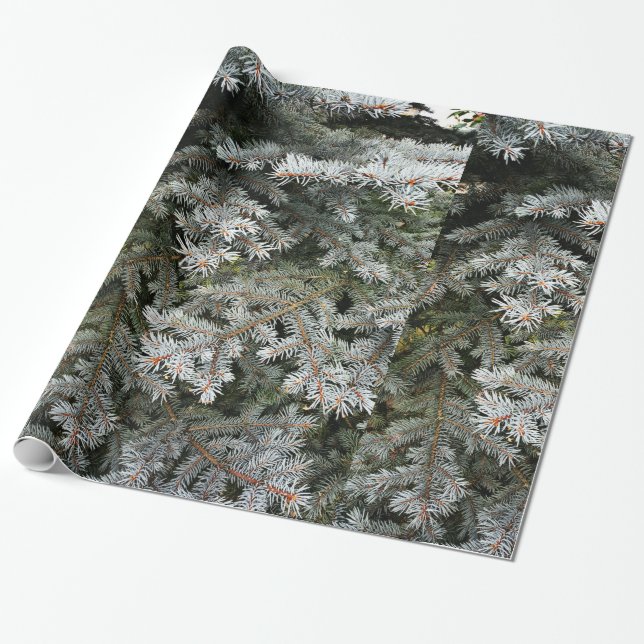 Evergreen tree | wrapping paper (Unrolled)