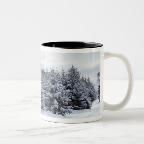 Evergreen trees and road in snow Two_Tone coffee mug