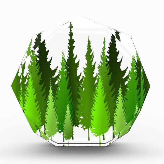 EVERGREEN WAYS ACRYLIC AWARD (Front)