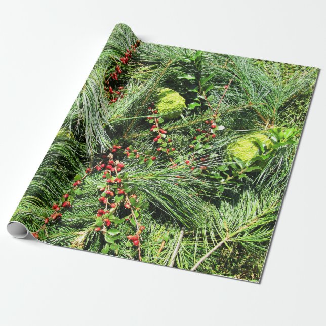 Evergreen Wrapping Paper - Prairie Mile Series (Unrolled)