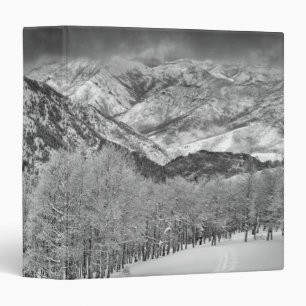 Evergreens and Aspen trees in a snow storm 3 Ring Binder