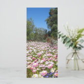 Everlasting Flowers (Standing Front)