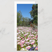 Everlasting Flowers (Front/Back)