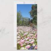 Everlasting Flowers (Front)