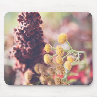 everlasting flowers mouse pad