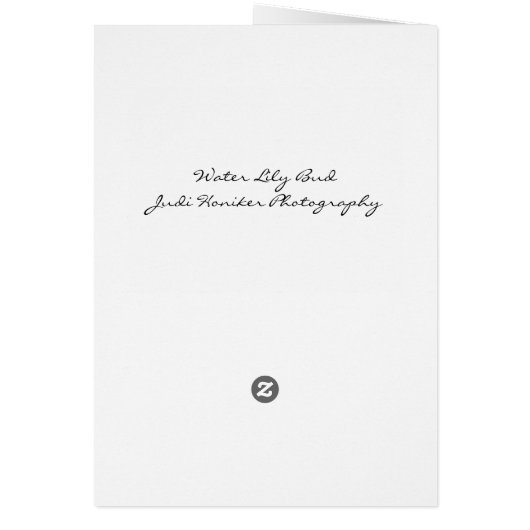 Everlasting Spirit (Back)