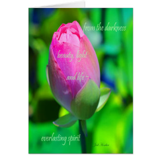 Everlasting Spirit Cards