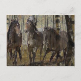 Everlasting Spirit Postcard