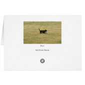 Everly! (Back Horizontal)