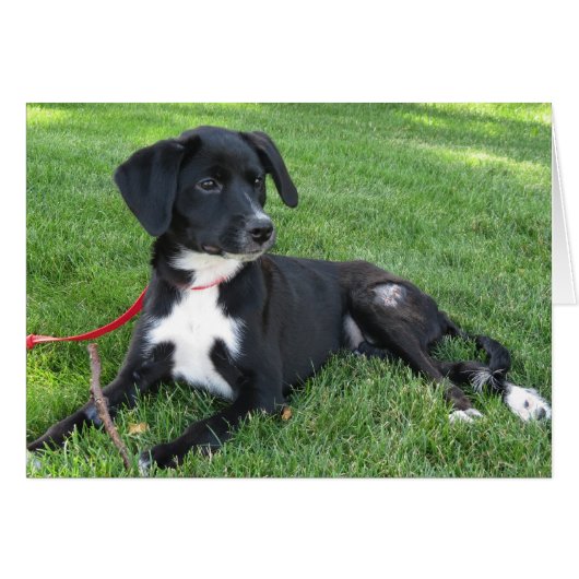 Everly! (Front Horizontal)