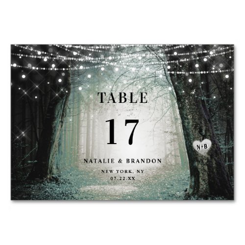 Evermore  Enchanted Fairy Forest  Moss Wedding Table Number