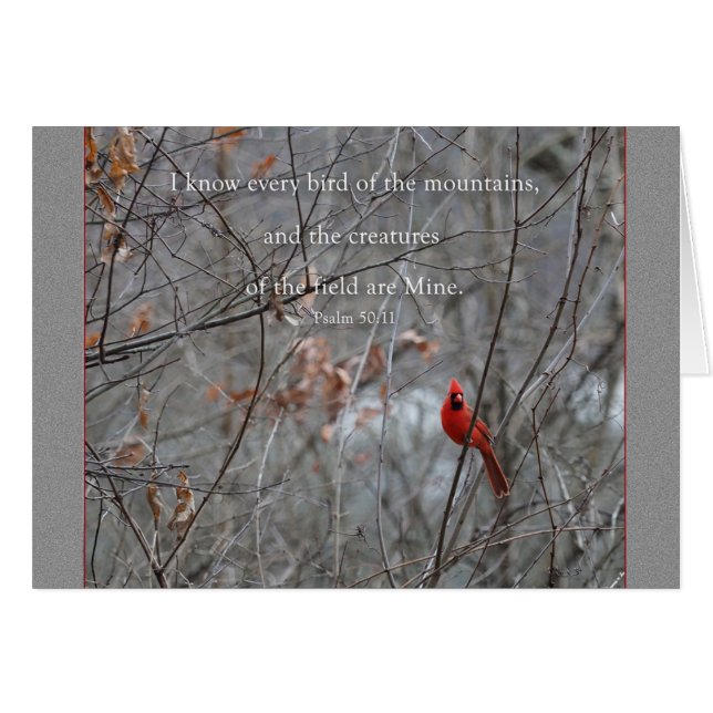 Every bird of the mountain Parakaleo note card (Front Horizontal)