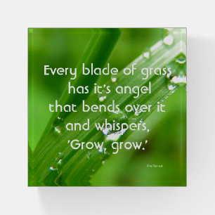 Every Blade of Grass Quote Magnet Paperweight