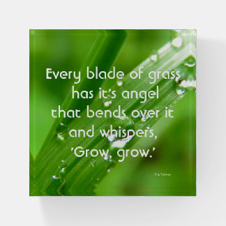 Every Blade of Grass Quote Magnet Paperweight