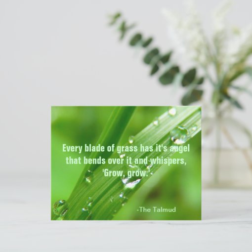 Every Blade Of Grass Quote Postcard Zazzle every-blade-of-grass-quote-postcard-zazzle
