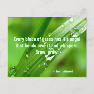 Every Blade of Grass Quote Postcard