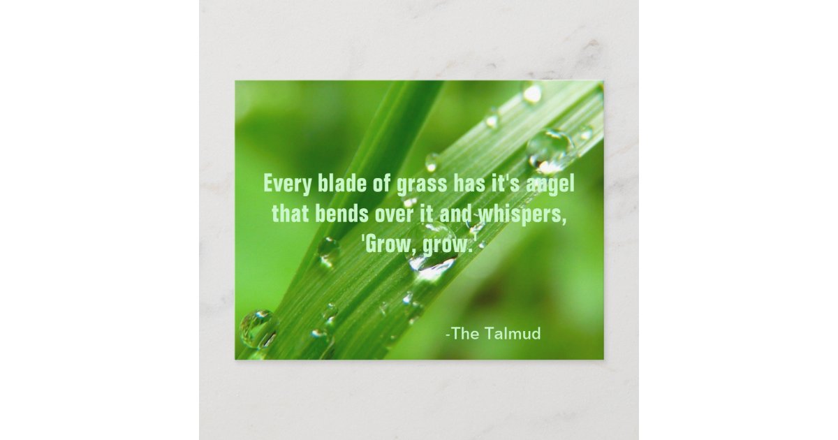 Blade Of Grass Quote Blade Of Grass Quote