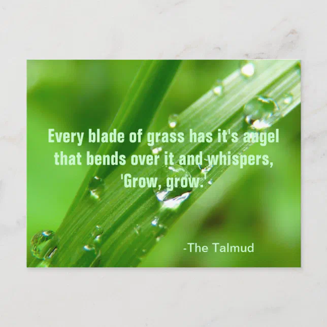 Every Blade Of Grass Quote Postcard Zazzle every-blade-of-grass-quote-postcard-zazzle