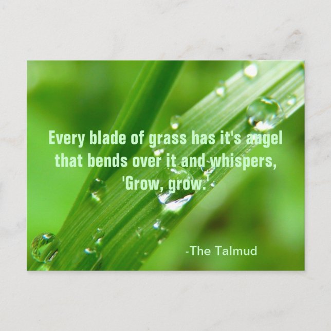 Every Blade of Grass Quote Postcard (Front)