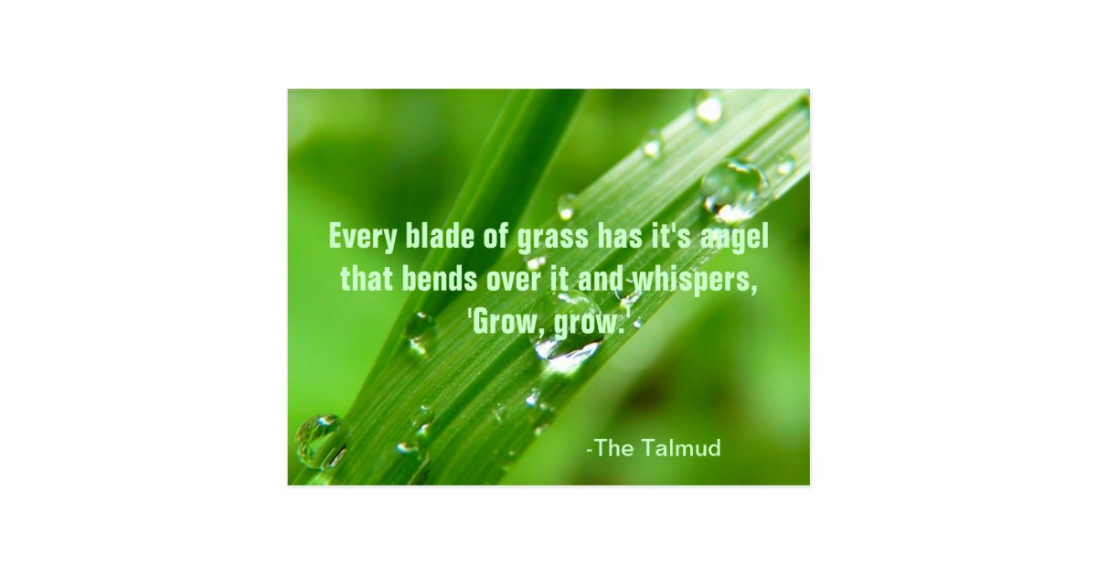 Every Blade of Grass Quote Postcard Zazzle