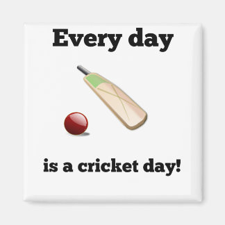 Every Day Is A Cricket Day Magnet