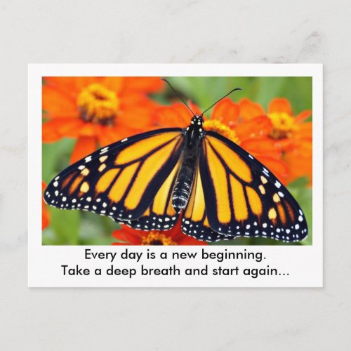Every day is a new beginningMonarch butterfly Postcard