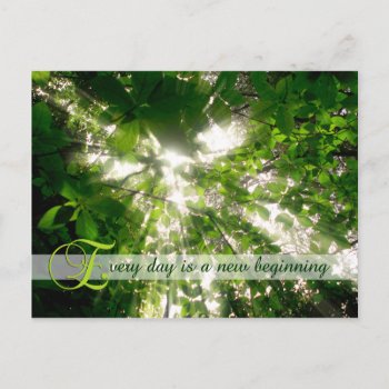Every Day Is A New Beginning Sunlight Trees Forest Postcard by BeverlyClaire at Zazzle