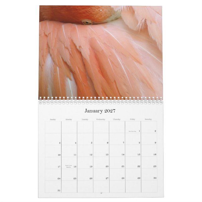 "Every day is Flamingo Friday" calendar (Jan 2027)