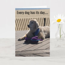 Every Dog Has Its Day, Everyday! -