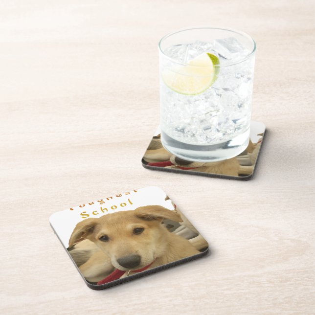 Every Dog Has iTS  DAY  Hakuna Matata Happy days a Beverage Coaster (Right Side)