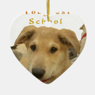 Every Dog Has iTS DAY Hakuna Matata Happy days a Ceramic Ornament