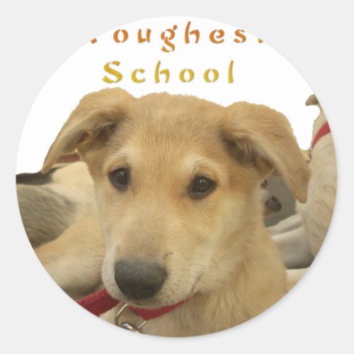 Every Dog Has iTS  DAY  Hakuna Matata Happy days a Classic Round Sticker