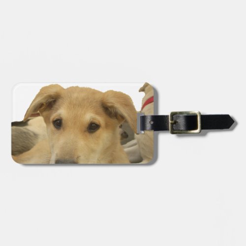 Every Dog Has iTS  DAY  Hakuna Matata Happy days a Luggage Tag