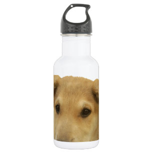 Every Dog Has iTS  DAY  Hakuna Matata Happy days a Water Bottle