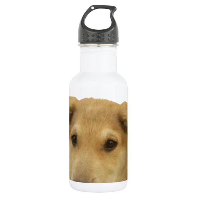 Every Dog Has iTS  DAY  Hakuna Matata Happy days a Water Bottle (Front)
