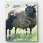 Every Family Has A Black Sheep Plaque at Zazzle