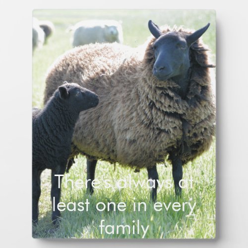 Every family has a black sheep plaque